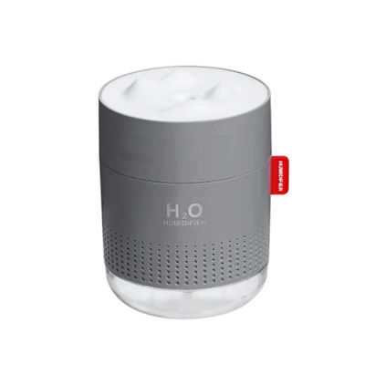 NO Design de molde privado ABS PP Silica Gel Material Humidificador doméstico portátil e compacto