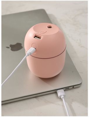 Outra Função Umidificador de Ar Ultrassônico H2o Mini Cup Spray Mist para Carro Umidificador de Ar USB